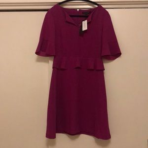 NWT - Banana Republic Magenta Dress